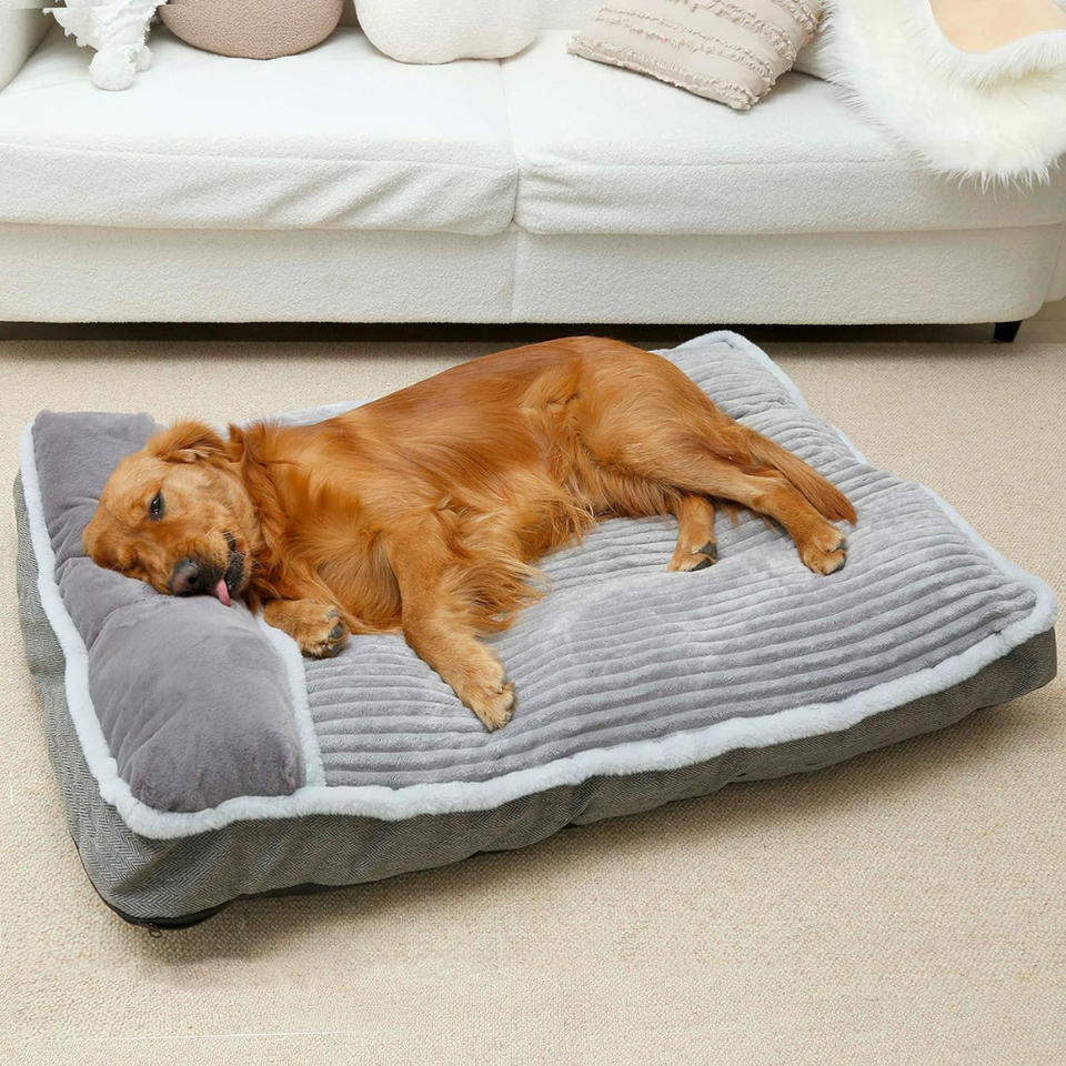 Pet Bedding