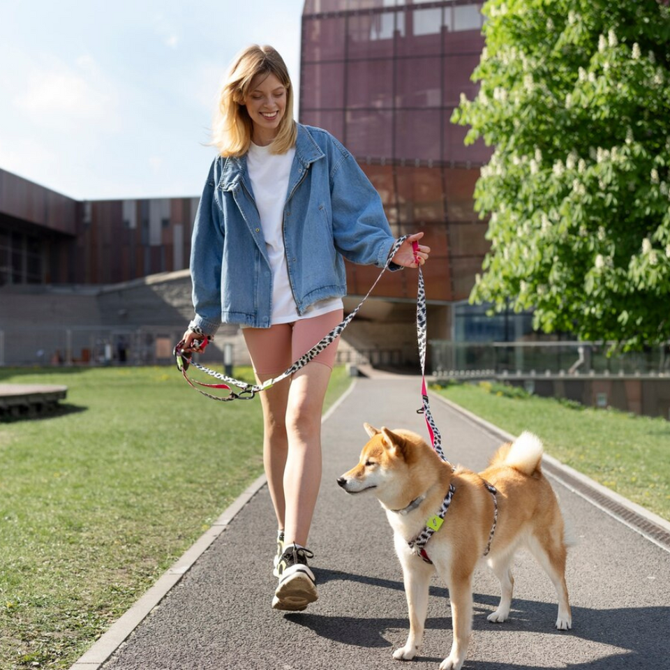 Leashes