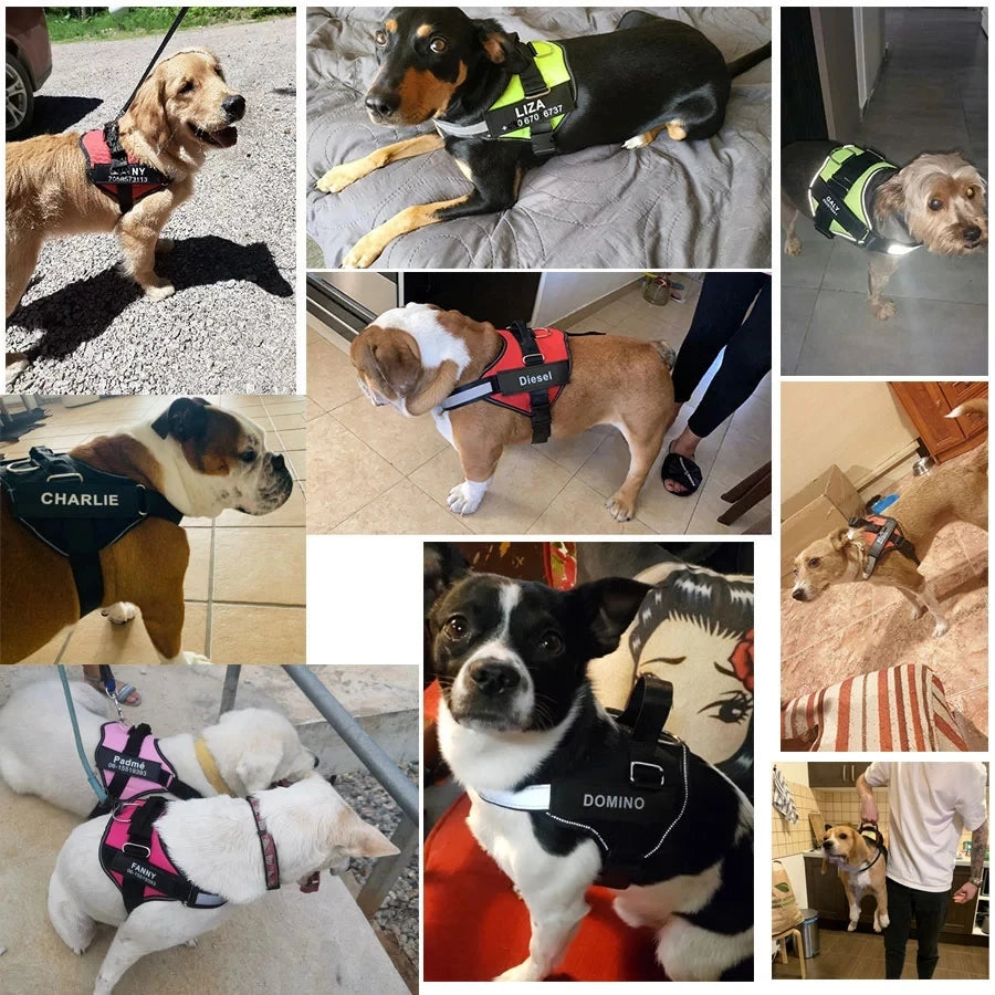 No-Pull Reflective Dog Harness