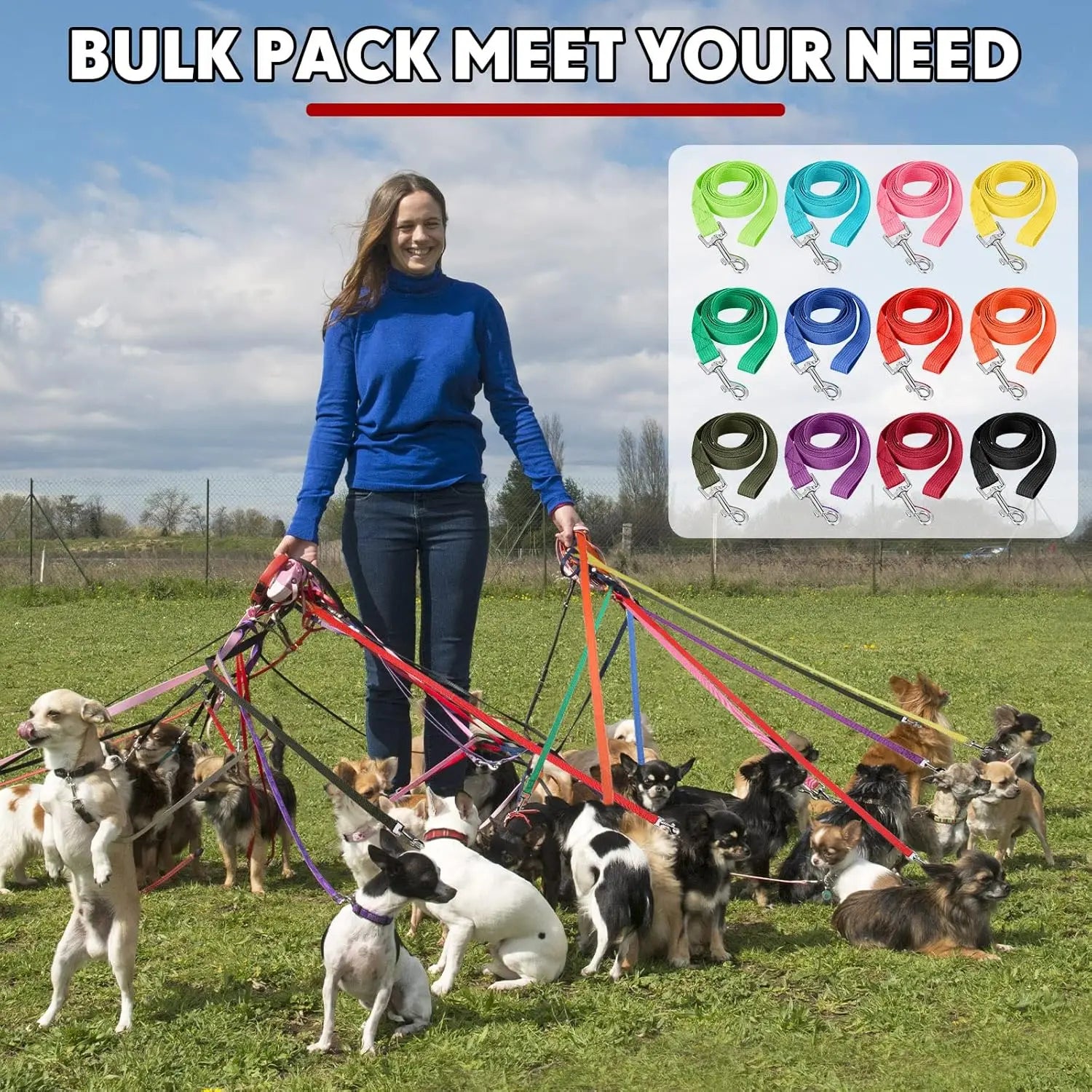 12 PCS Multicolored Nylon Puppy Training Slip Leash