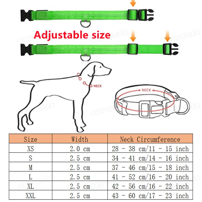 LED Luminous Dog Collar with USB Charging