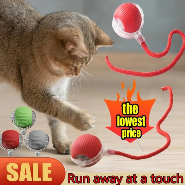 Self-Moving Electric Cat Training Ball