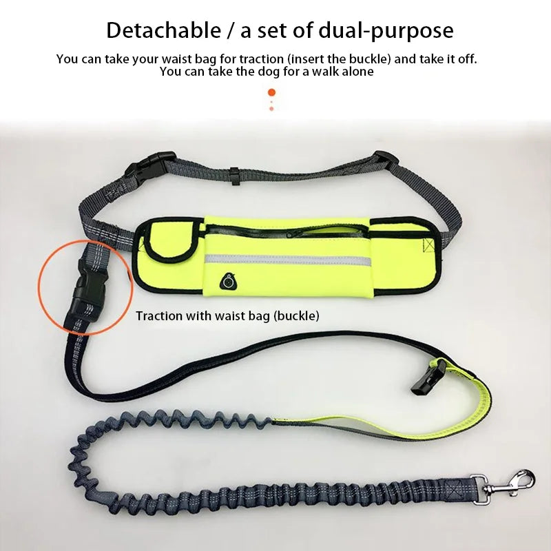 Professional Dog Harness – Adjustable, Comfortable, Durable