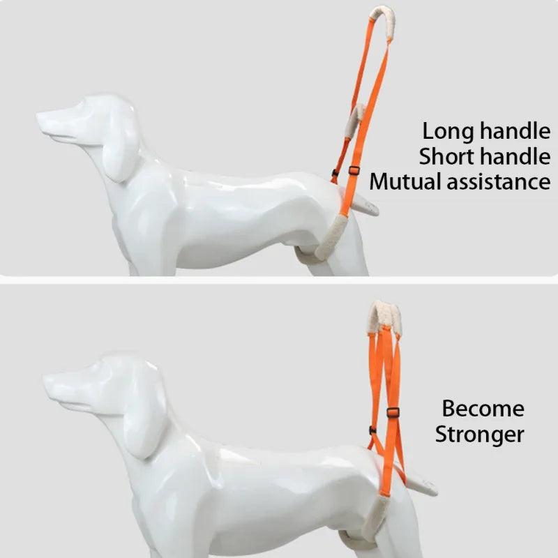 Dog Support Harness for Back Legs