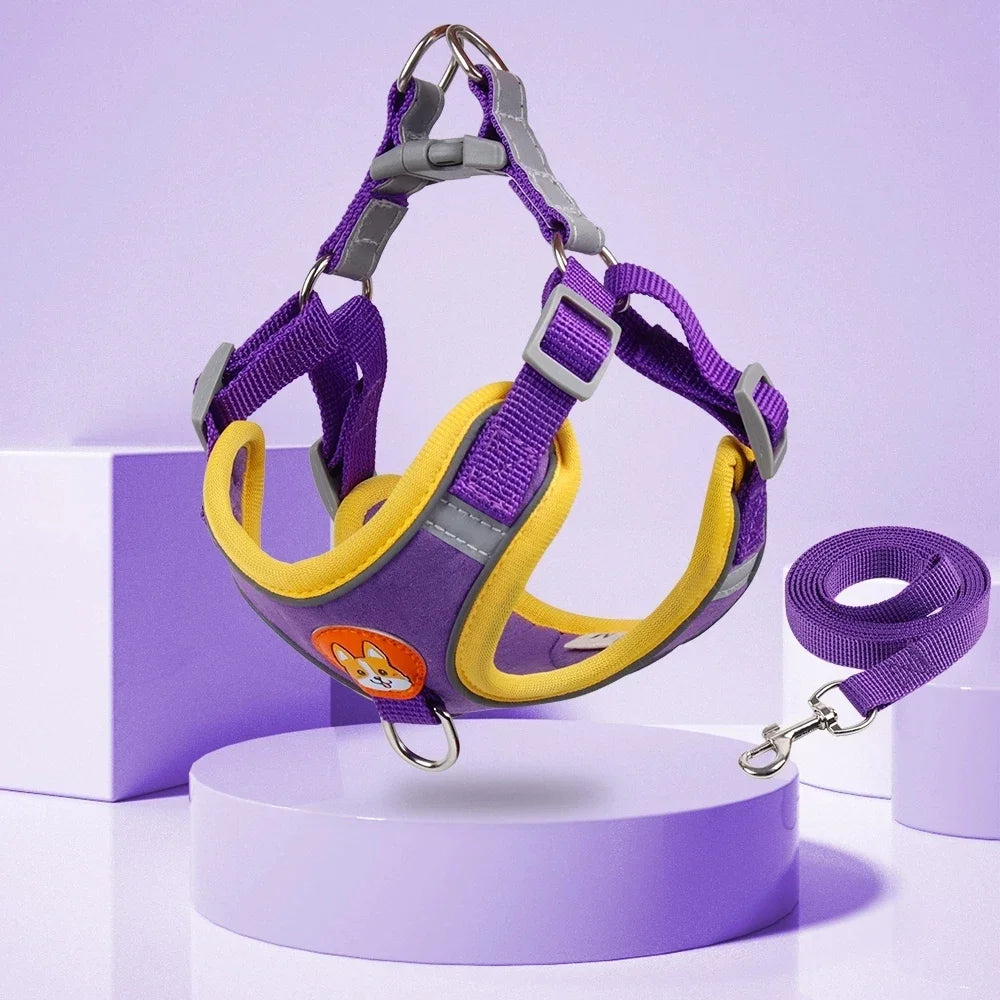 Step-in Dog Harness & Leash Set