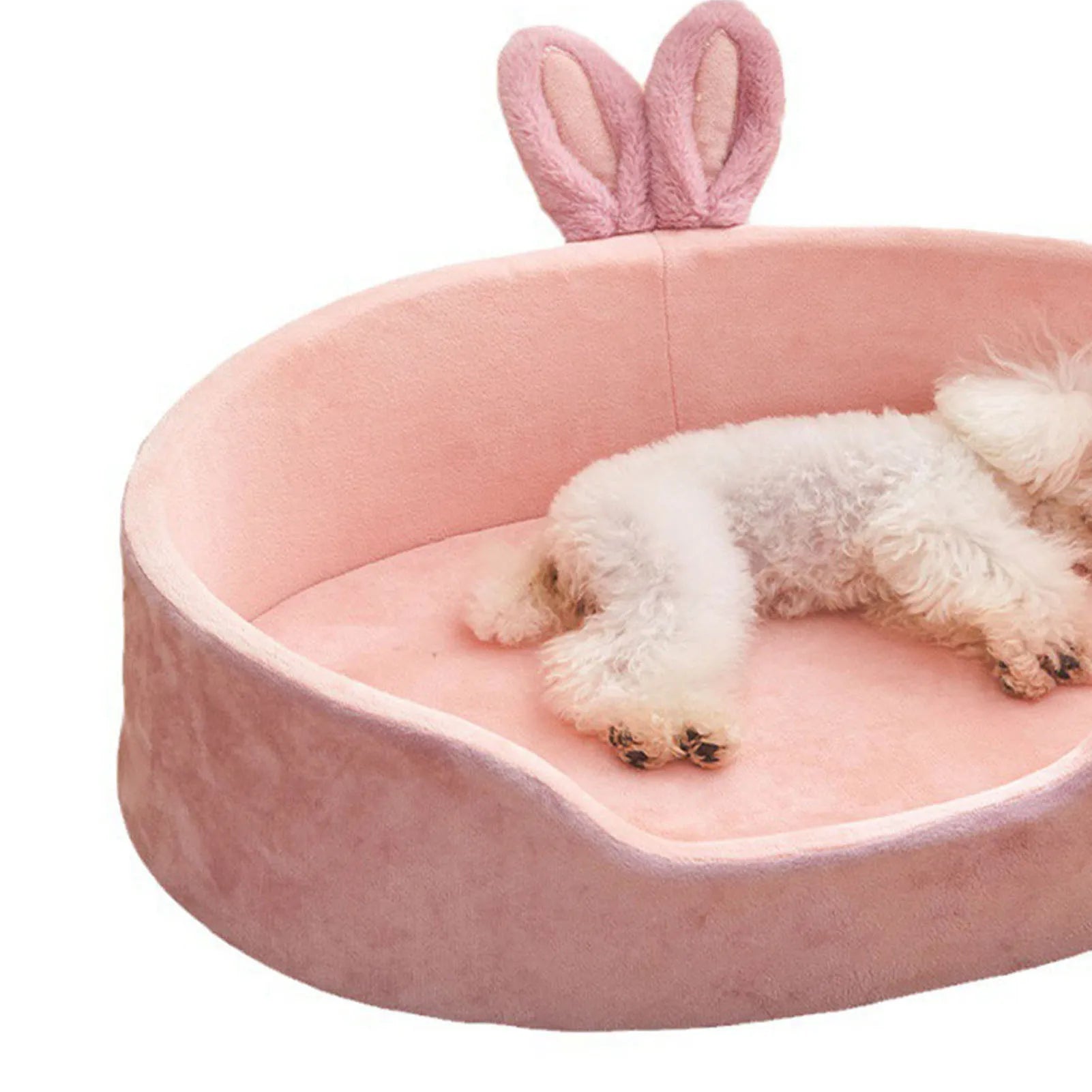Detachable Washable Pet Bed for All Seasons