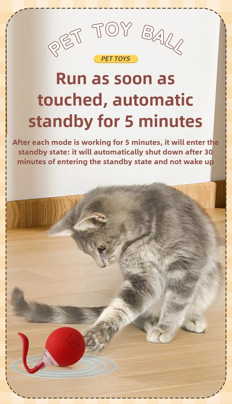 Self-Moving Electric Cat Training Ball