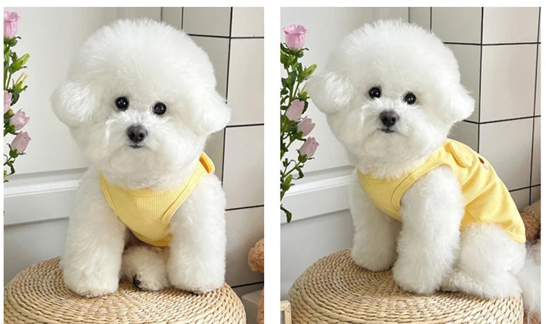 Summer Breathable Dog Vest for Small Pets