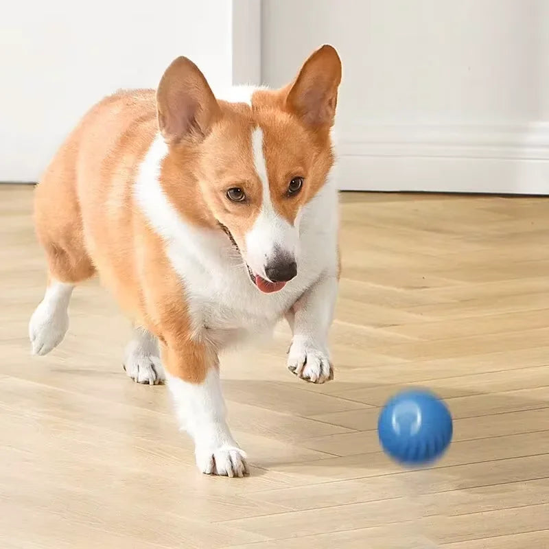 Intelligent Gravity Jump Ball for Pets