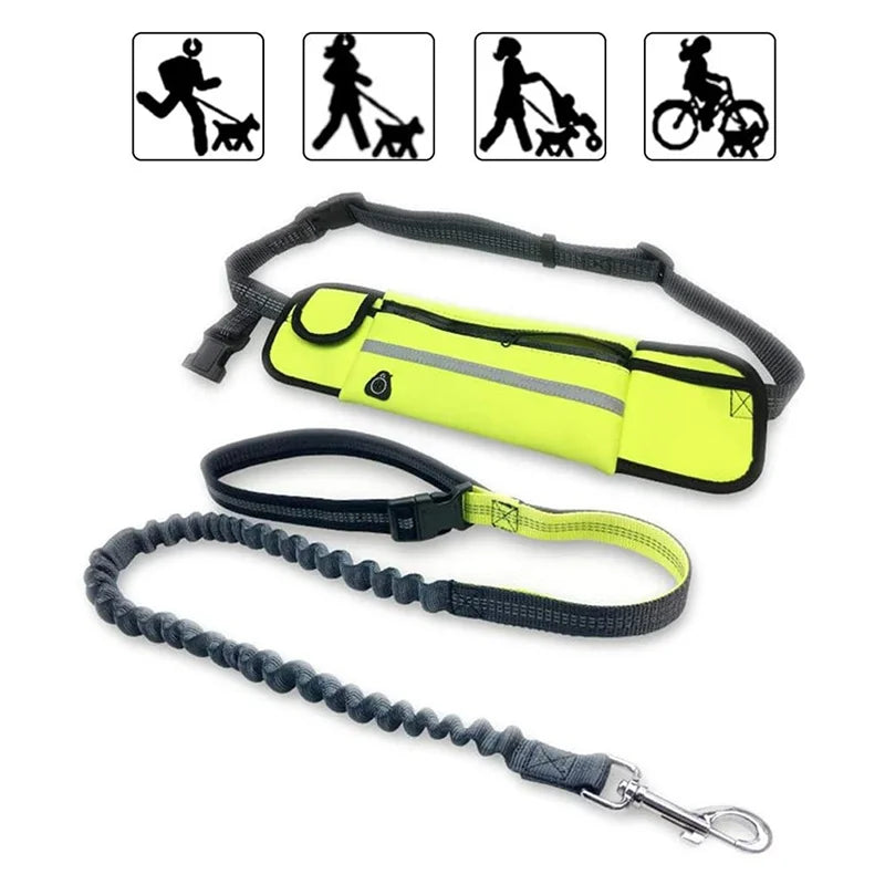 Professional Dog Harness – Adjustable, Comfortable, Durable
