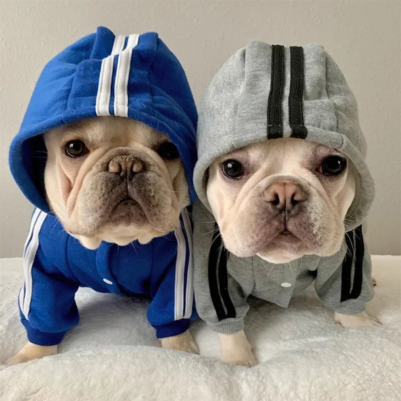 Adidog Dog Hoodie & Jumpsuit