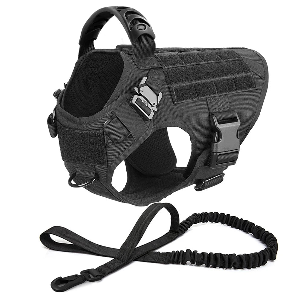 Large Dog Harness & Leash Set