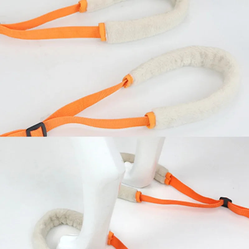 Dog Support Harness for Back Legs