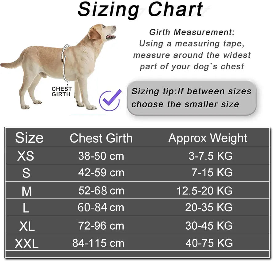 No-Pull Reflective Dog Harness