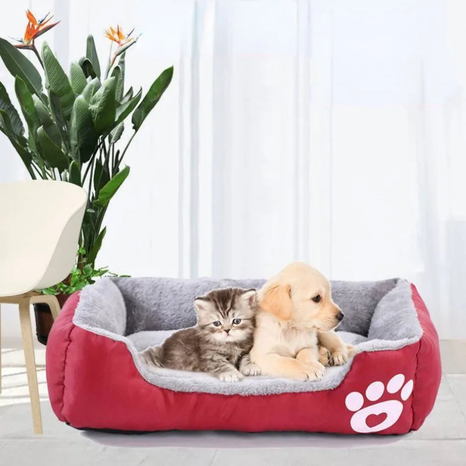 Large Washable Pet Bed & Cushion