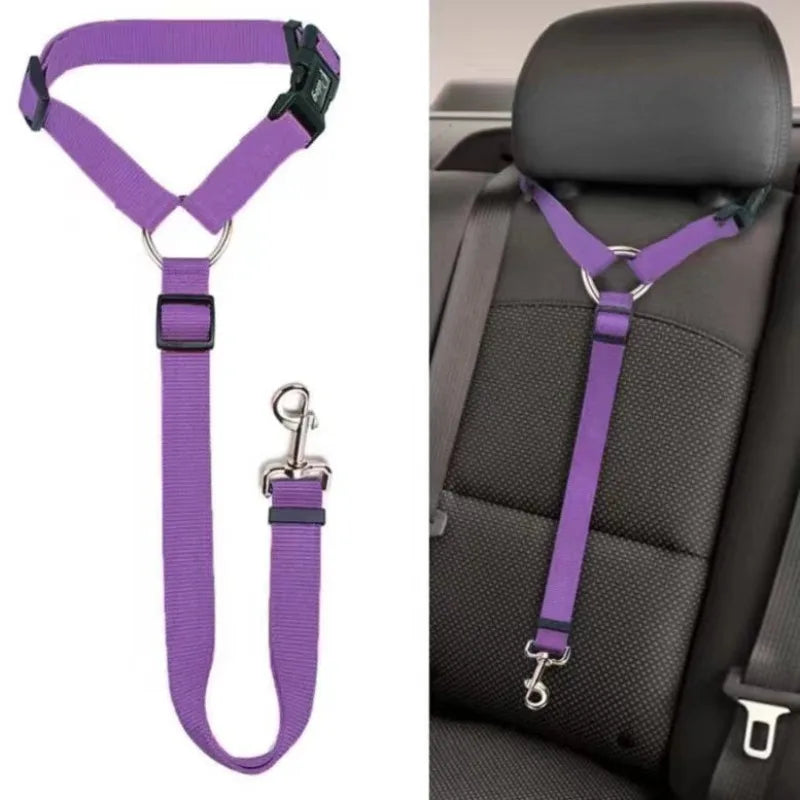 Two-in-One Pet Car Seat Belt & Leash