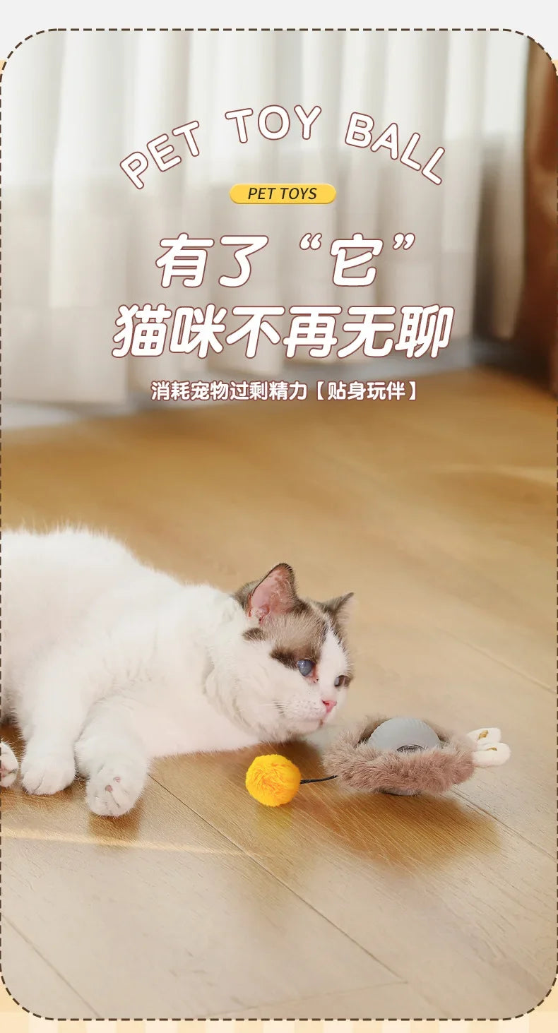 Self-Moving Electric Cat Training Ball