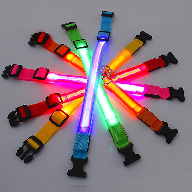 LED Luminous Dog Collar with USB Charging