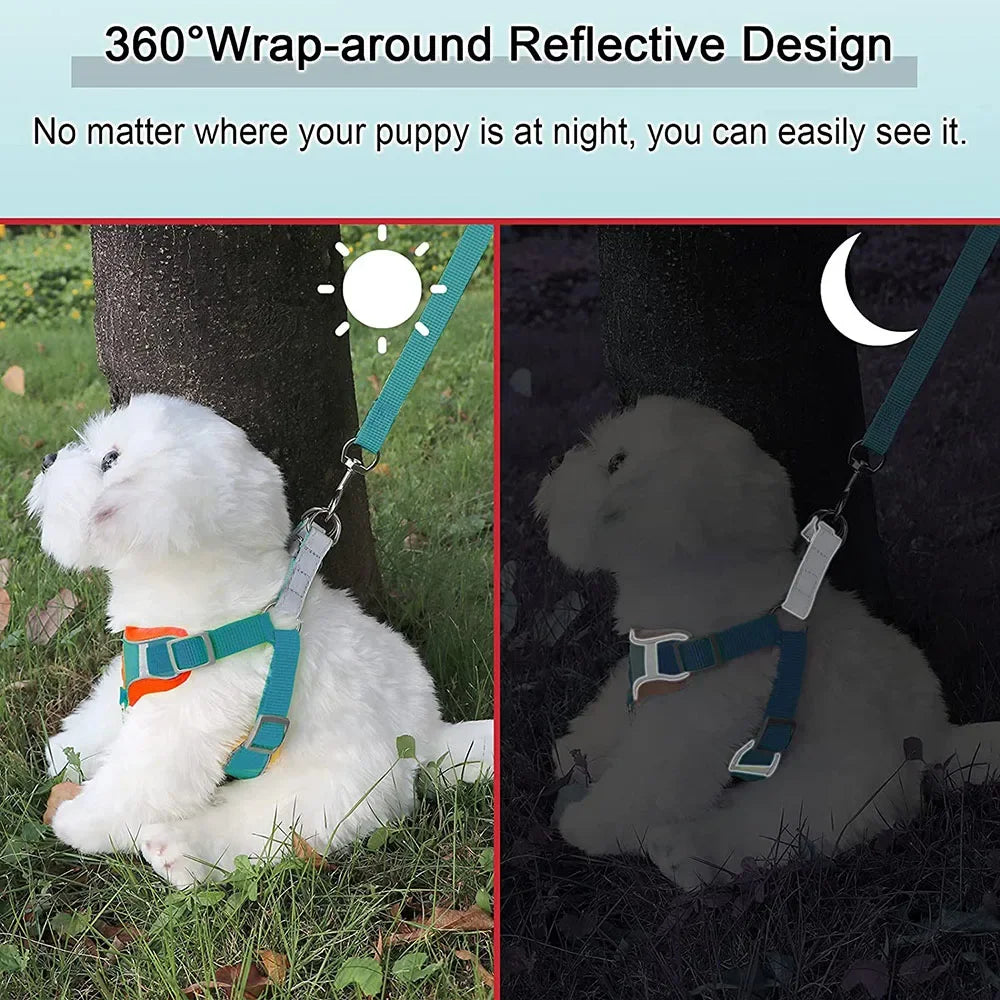 Step-in Dog Harness & Leash Set