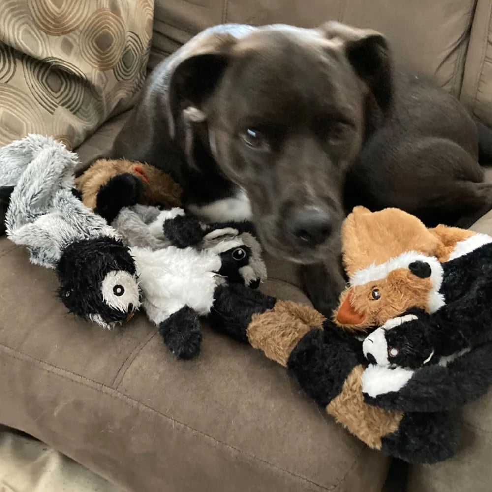 Stuffingless Squeaky Dog Chew Toy