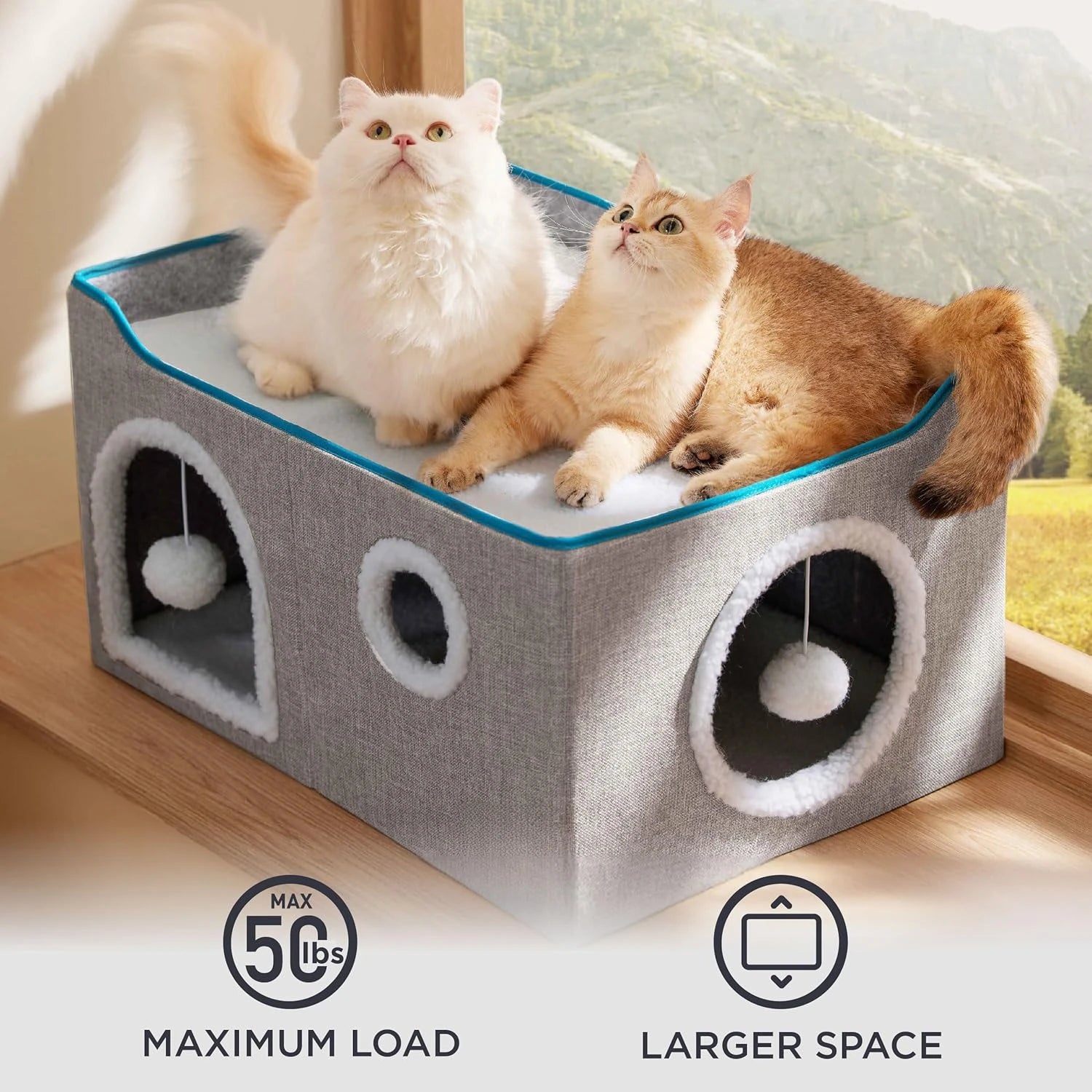 Wide Cat House for Indoor Cats