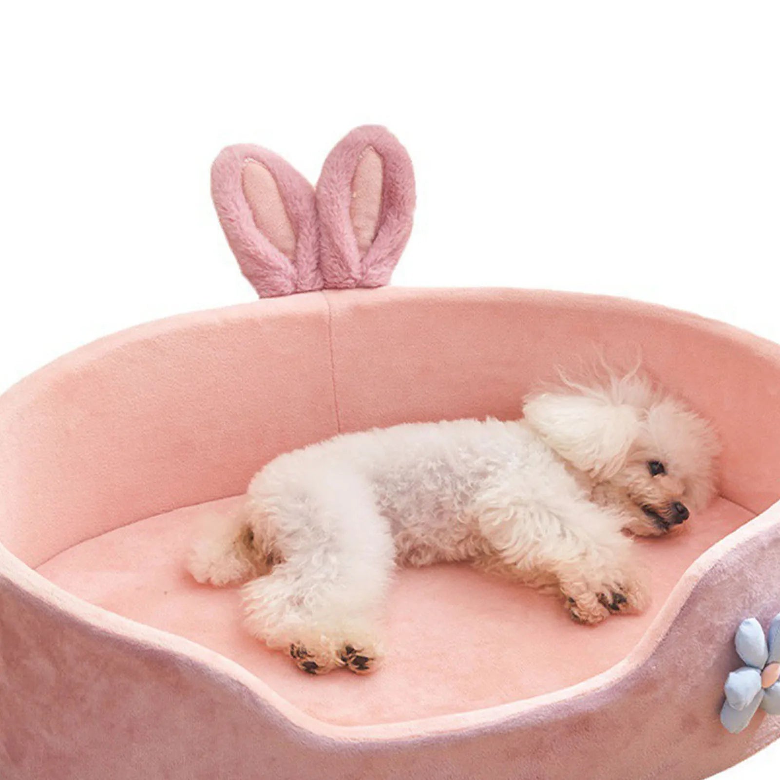 Detachable Washable Pet Bed for All Seasons