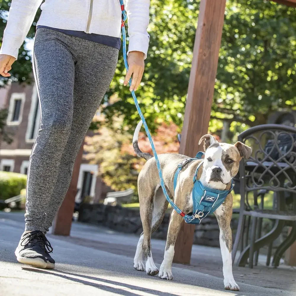 Smart Harness Dog Walking & Training