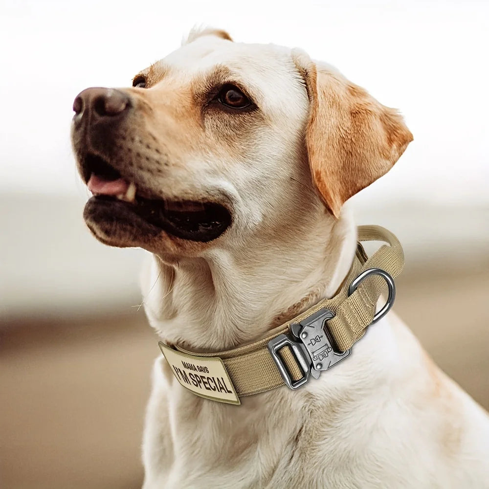 Heavy Duty Tactical Dog Collar with Handle