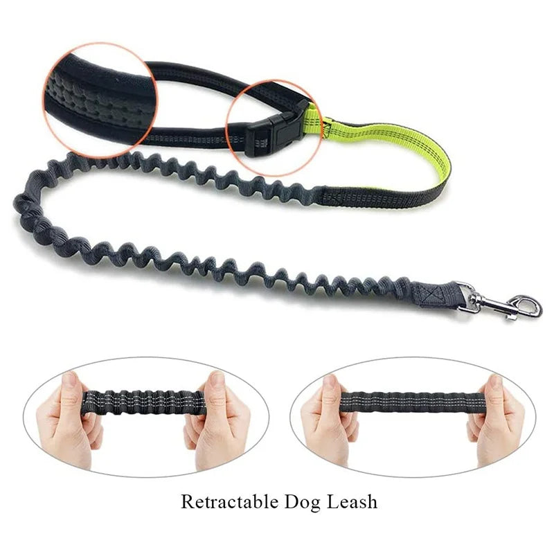 Professional Dog Harness – Adjustable, Comfortable, Durable