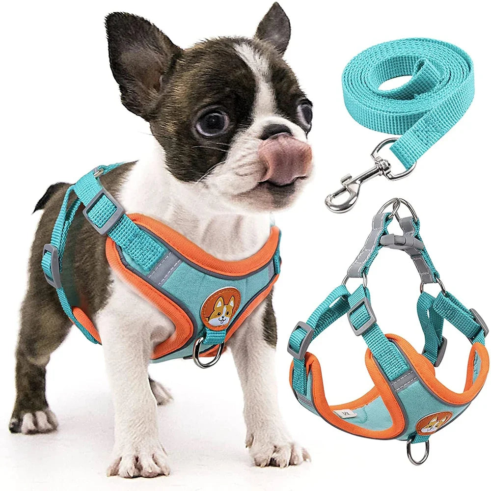 Step-in Dog Harness & Leash Set