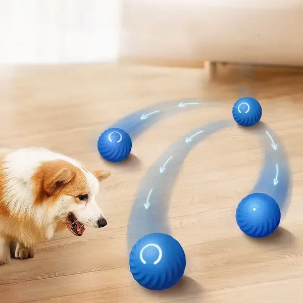 Intelligent Gravity Jump Ball for Pets