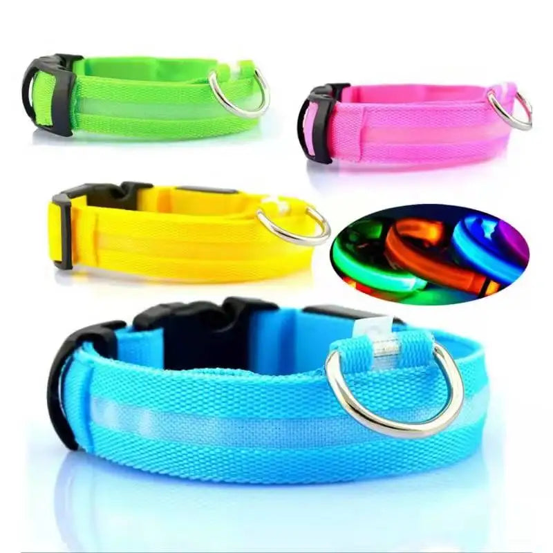 LED Luminous Dog Collar with USB Charging