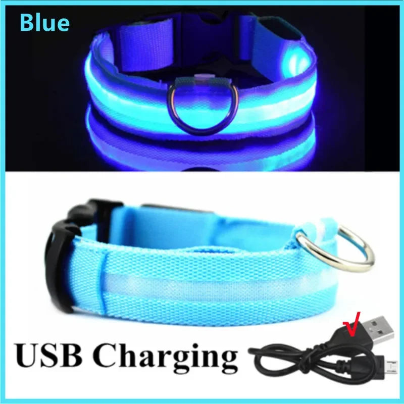 LED Luminous Dog Collar with USB Charging