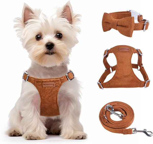 Dog Harness & Leash Set