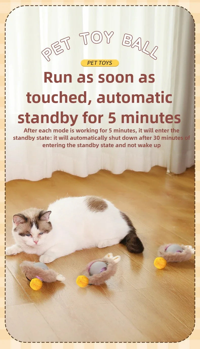 Self-Moving Electric Cat Training Ball