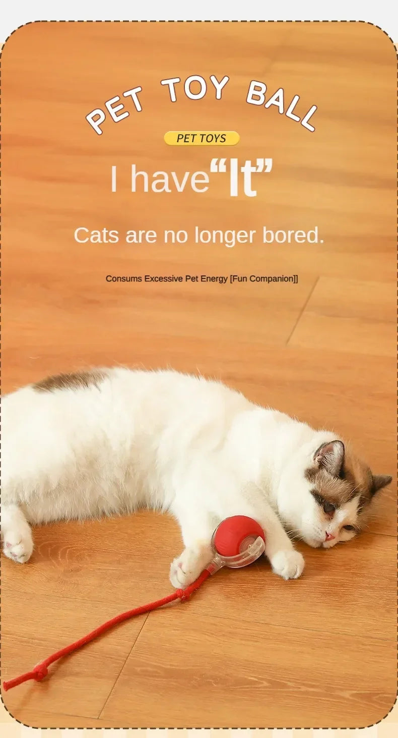 Self-Moving Electric Cat Training Ball