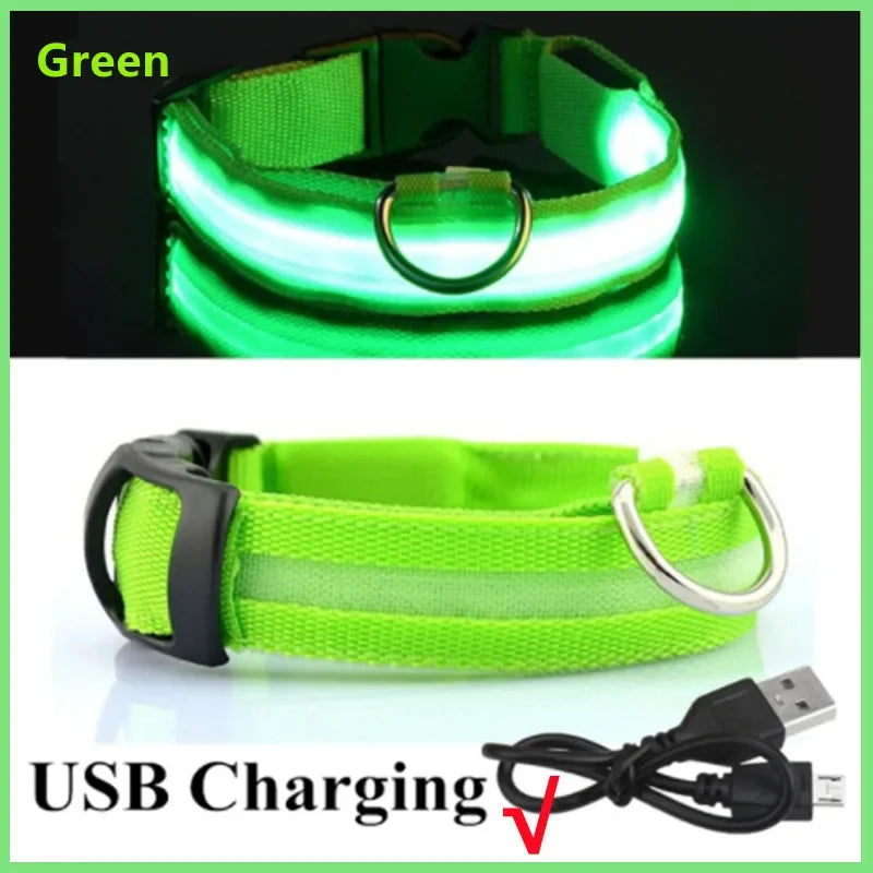 LED Luminous Dog Collar with USB Charging