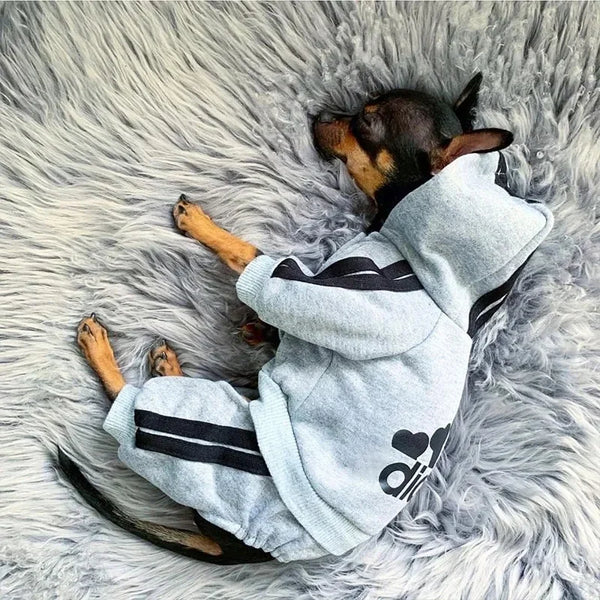 French Bulldog & Small Dog Jumpsuit