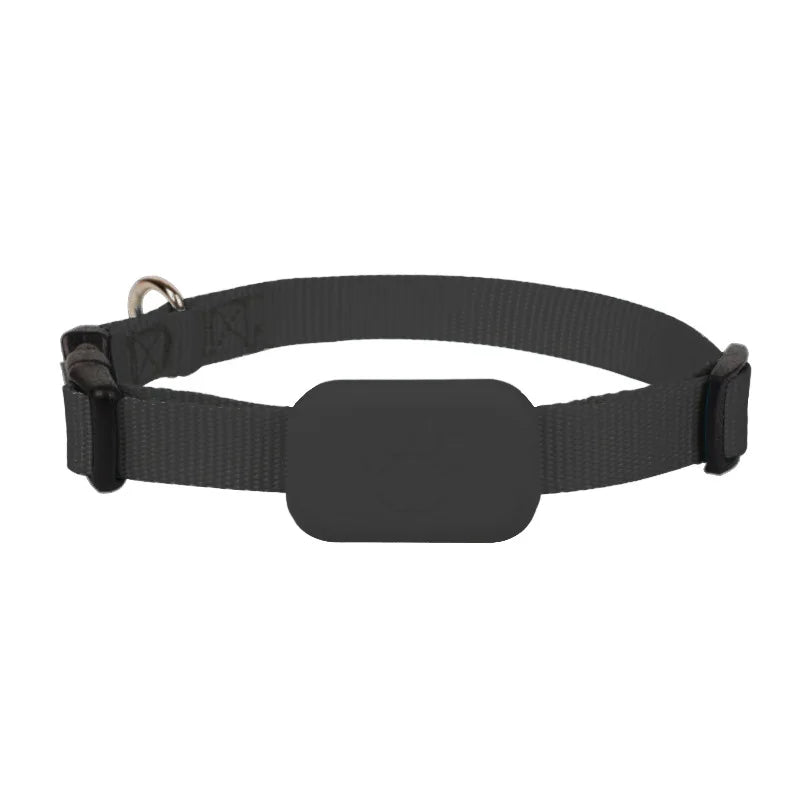 iOS Mini GPS Tracker Dog Collar