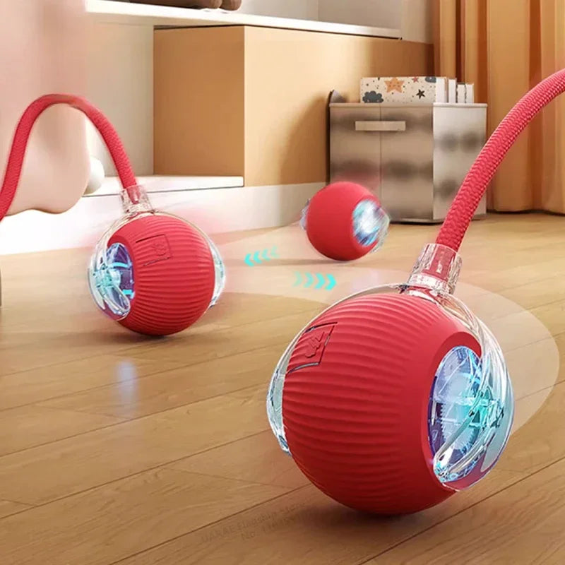 Interactive Rolling Cat Toy with Tail