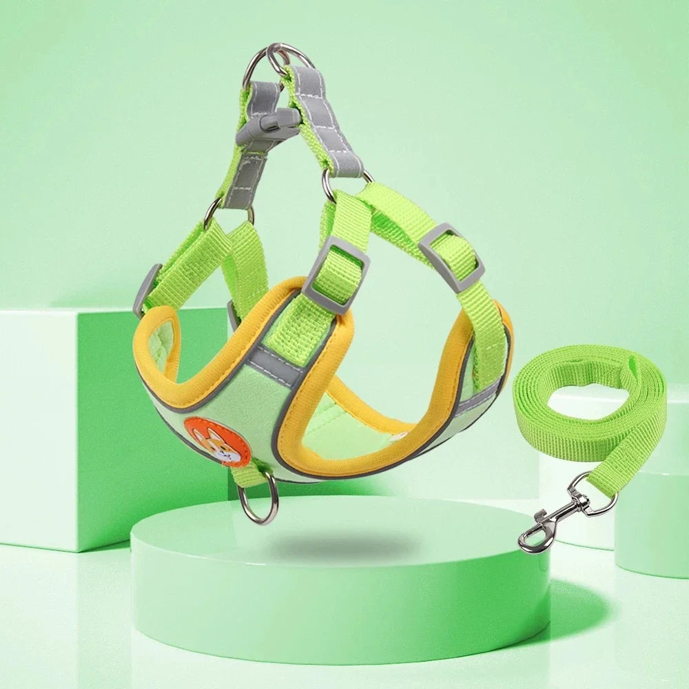 Step-in Dog Harness & Leash Set