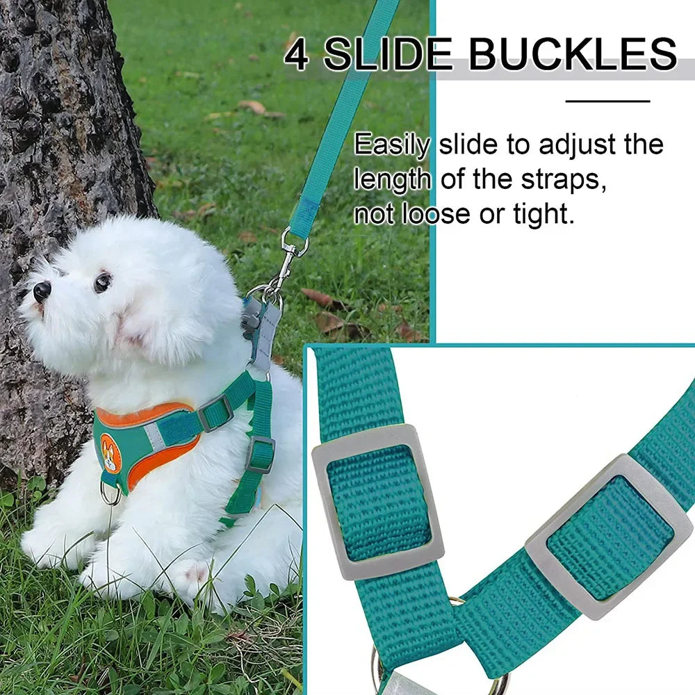 Step-in Dog Harness & Leash Set