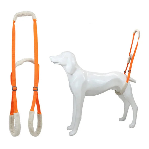 Dog Support Harness for Back Legs