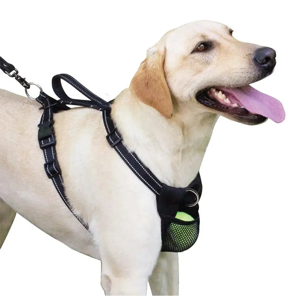 Nylon Ultimate Control Dog Harness
