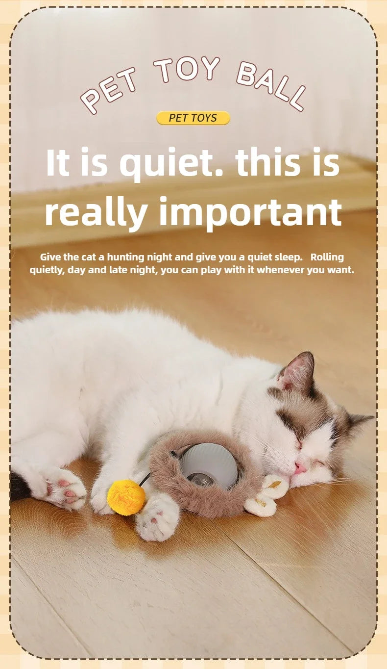 Self-Moving Electric Cat Training Ball