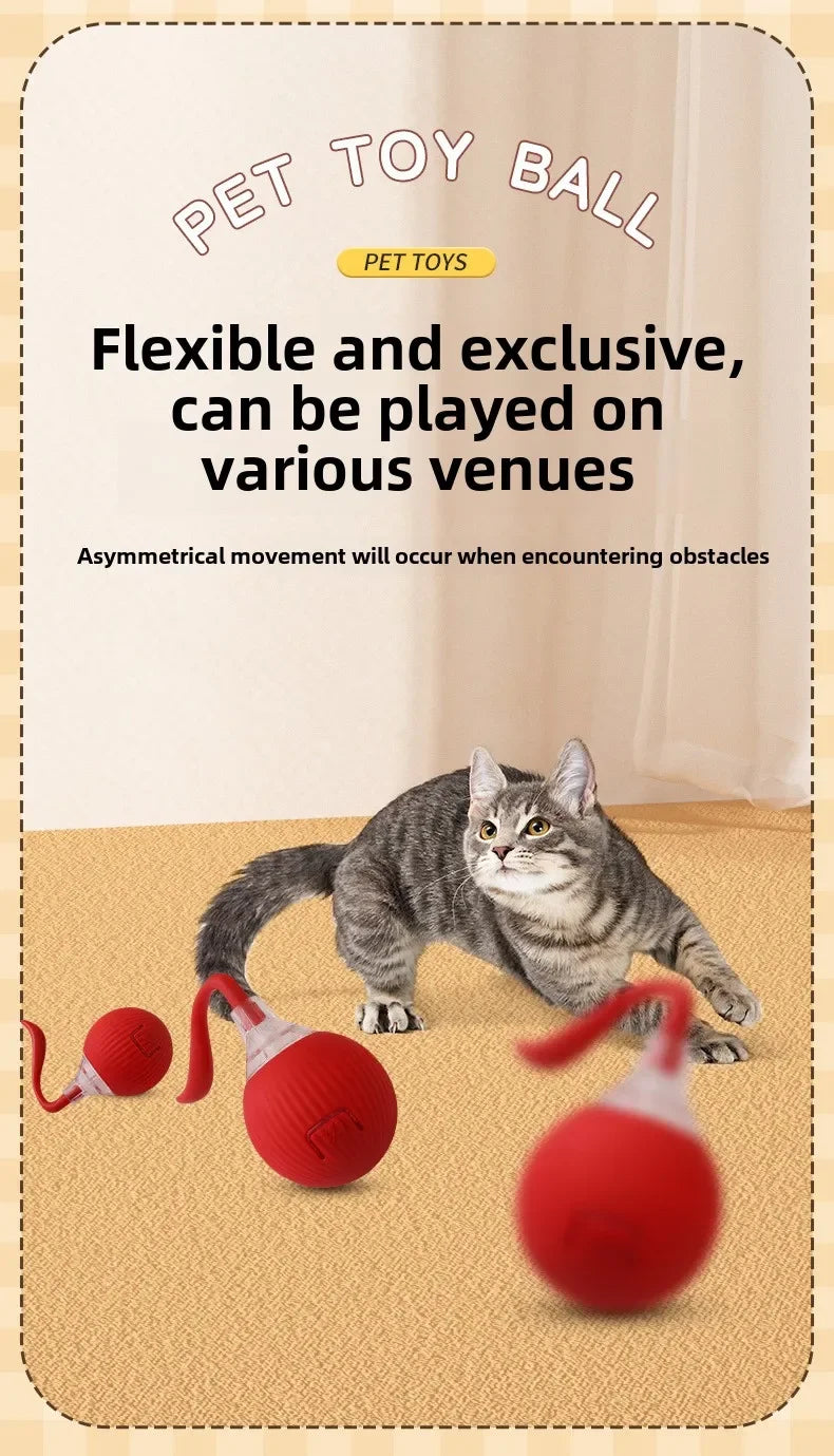 Self-Moving Electric Cat Training Ball