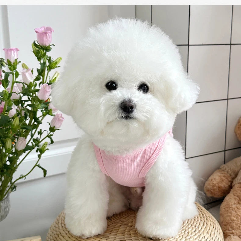 Summer Breathable Dog Vest for Small Pets