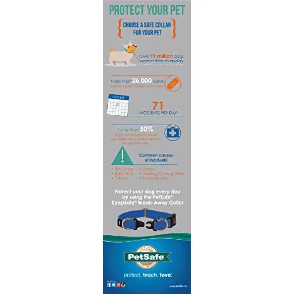 Break-Away Dog Collar
