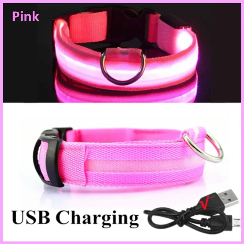 LED Luminous Dog Collar with USB Charging