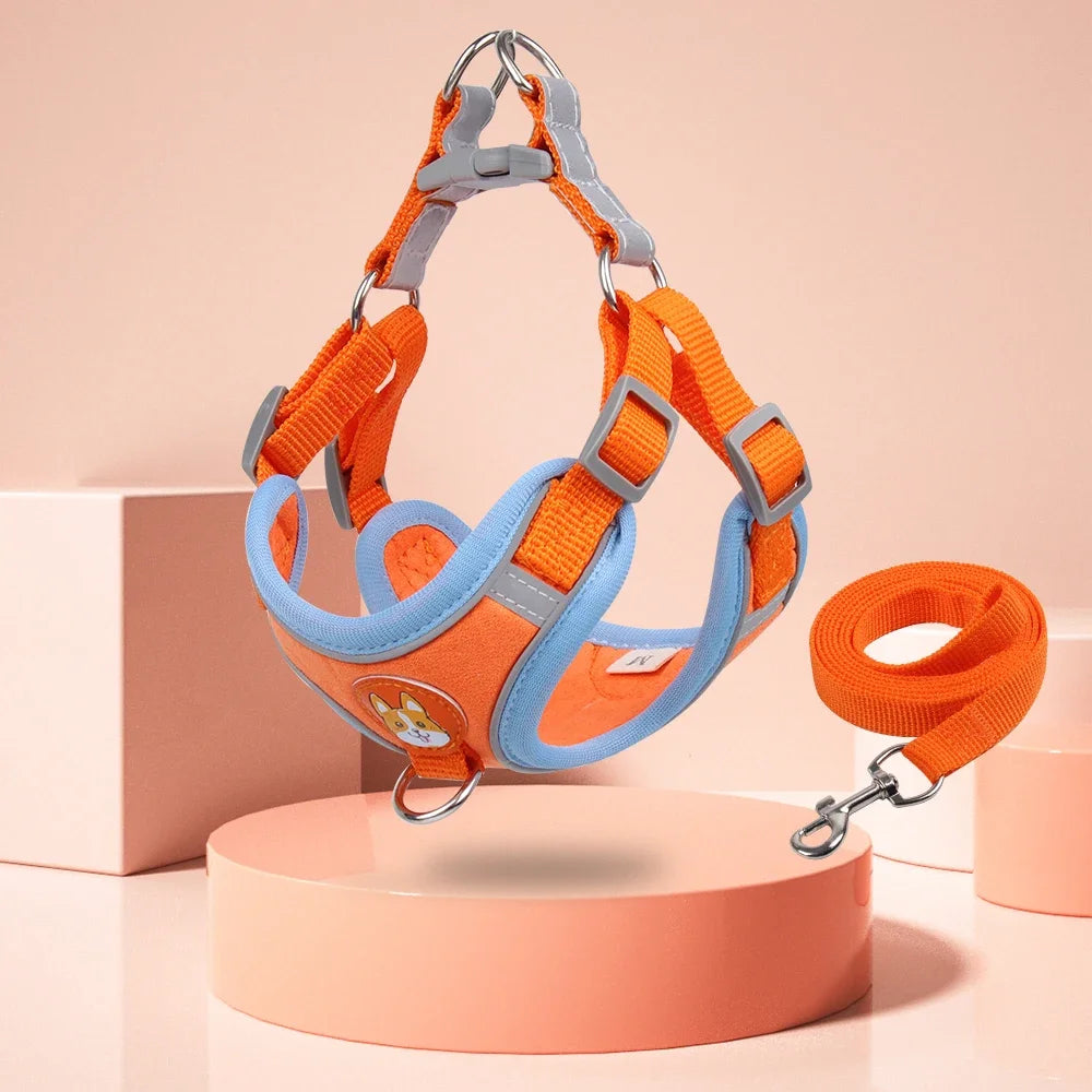 Step-in Dog Harness & Leash Set